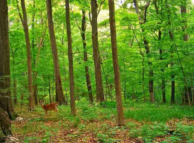 如何去图书馆预约(六安市图书馆如何预约)