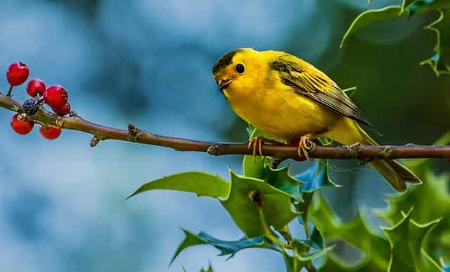 浦东生物医药子基金投入运营