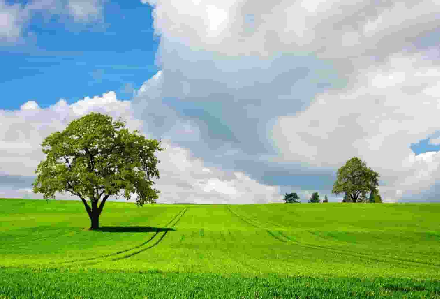 邮储银行连云港市分行“数据治理提升年”活动取得初步成效