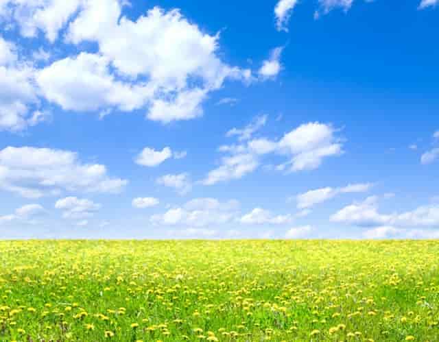 邦达亚洲:美国大选的不确定性缓解了美元指数的压力并收盘