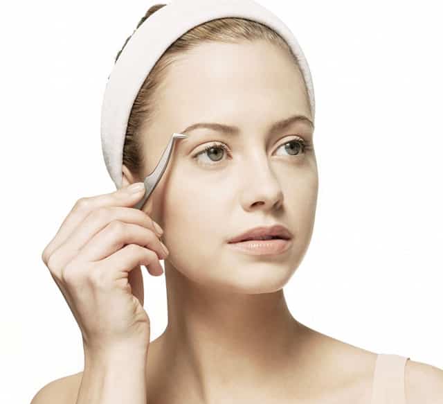 人民政府的办事员