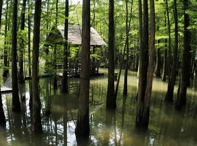 老周侃股份:避开业绩与估值严重不符的两只股票