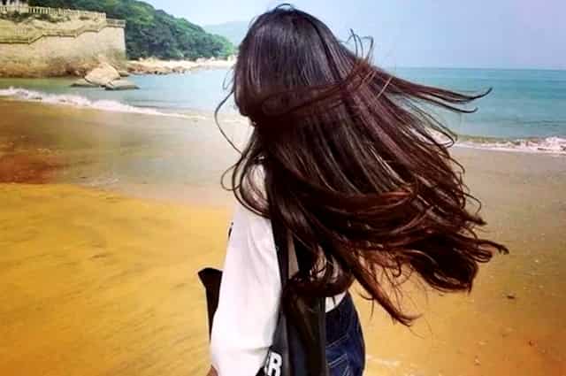 2021河南省高考投档线