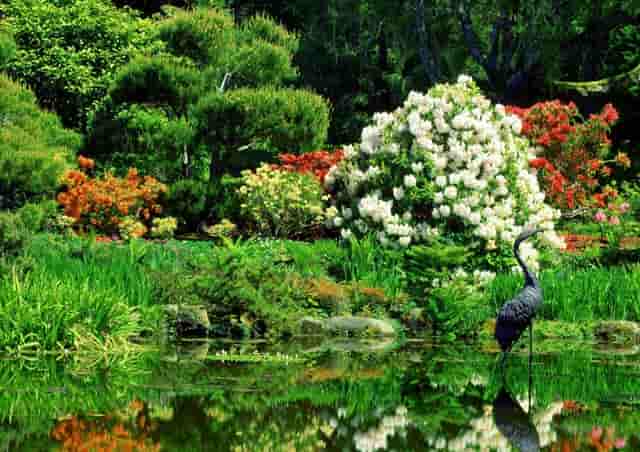 下半年有大机会