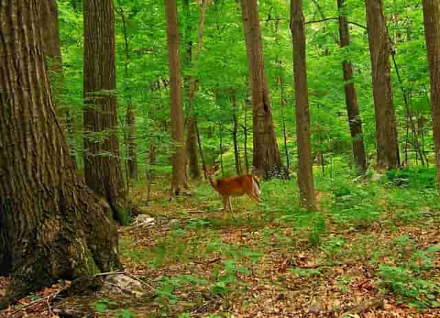 全员冲刺，砥砺前行|全面迎接长沙湘语梅溪公寓首开