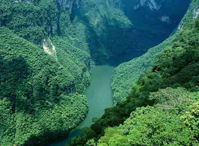 中国民营企业500强 猜猜谁最厉害？