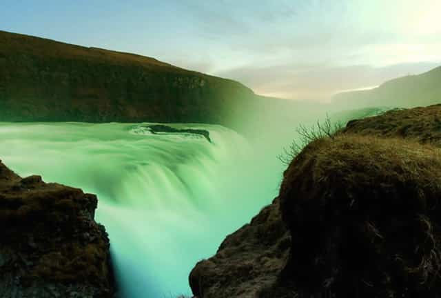 袖虎病狗攻略：狗得狂犬病五大症状，你都知道吗？