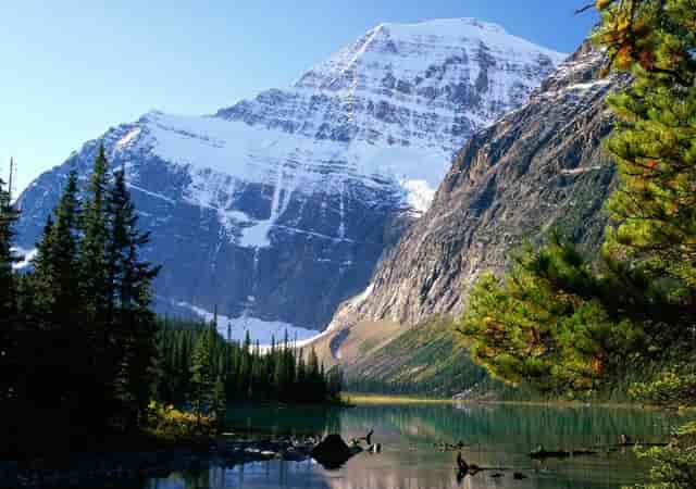 波点元素怎么穿搭