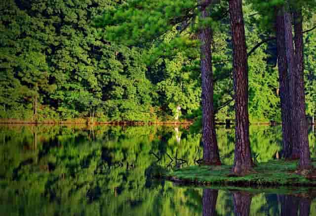 邮储银行连云港市分行召开打击治理电信网络新型违法犯罪专题会议