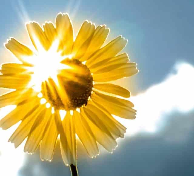 如何让视频更有流量