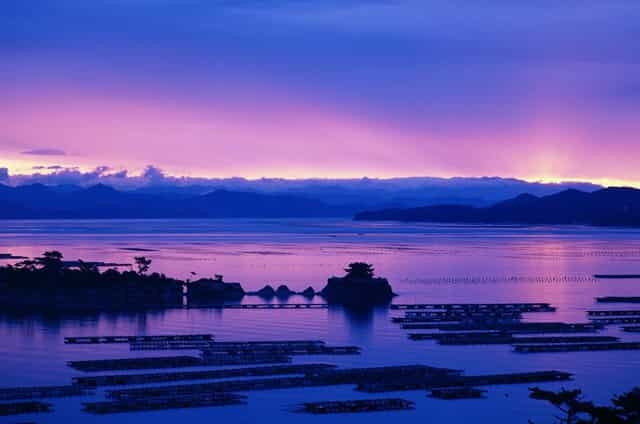 分析称 机构和富有的投资者在三个月内购买了115亿美元的比特币