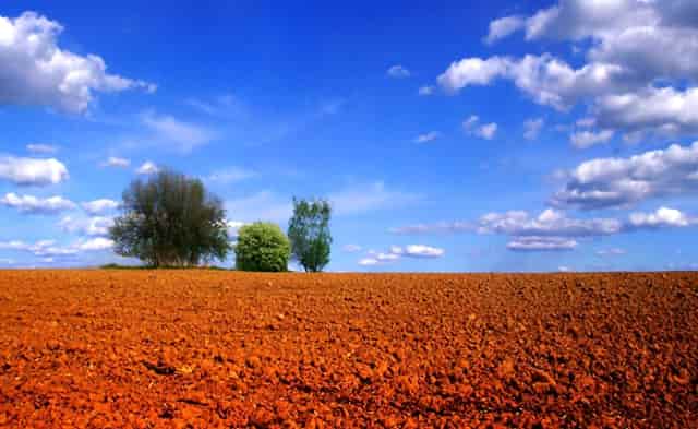 2020年 美国七大科技巨头的总市值将增加3.4万亿美元