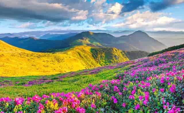 心脏有问题会出现什么症状呢