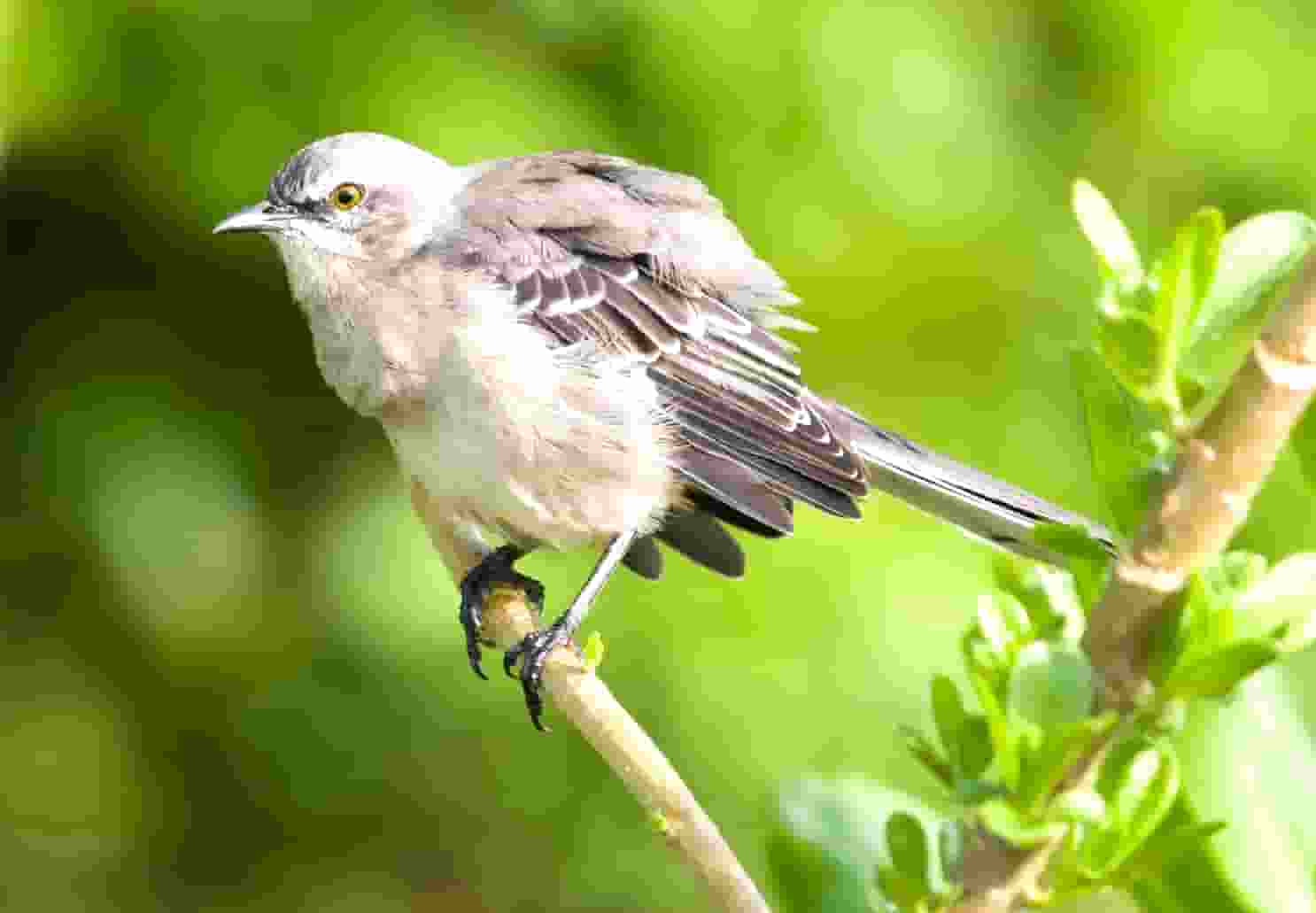 生态文明建设保护规划