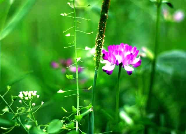 杰尼能源:子公司光伏发电项目并网发电