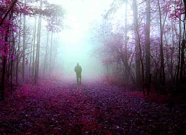 美联储黄金二次会议