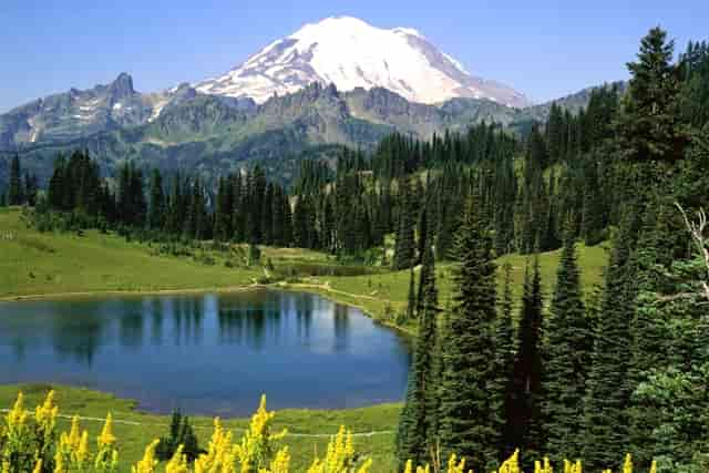 邮储银行连云港市分行全力助力市文明城市复查工作