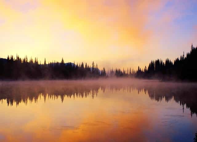 基金经理跳槽 在这一年中 250多名“舵手”离职换了工作