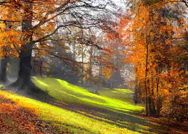 邮储银行东海县支行：积极履行社会责任，共创全国文明城市