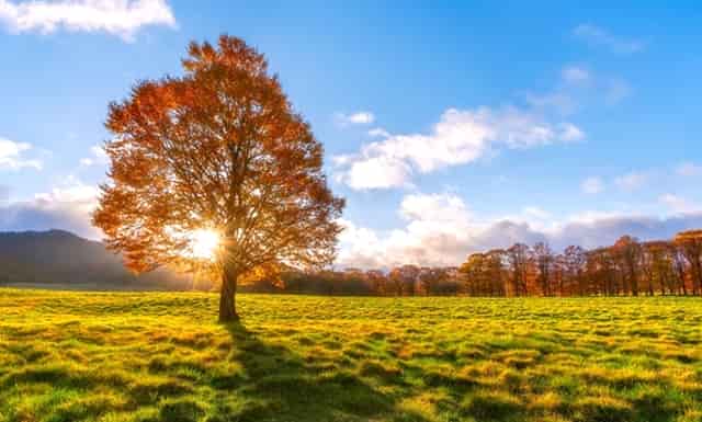 中阳期货:欧佩克与美联储百年博弈史