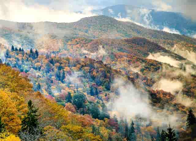 华安新创共发布4万个中奖号码