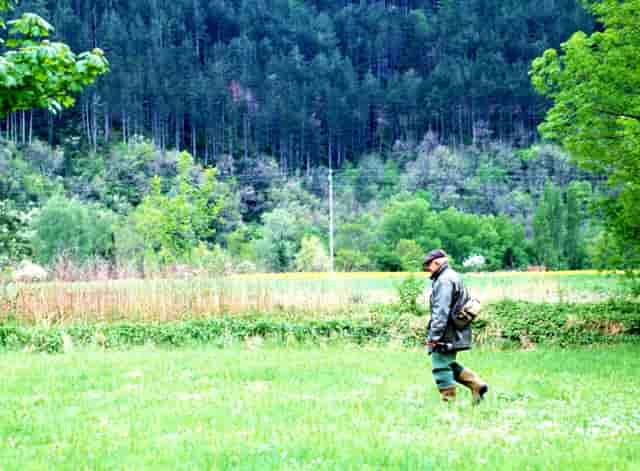 最新健康险产品