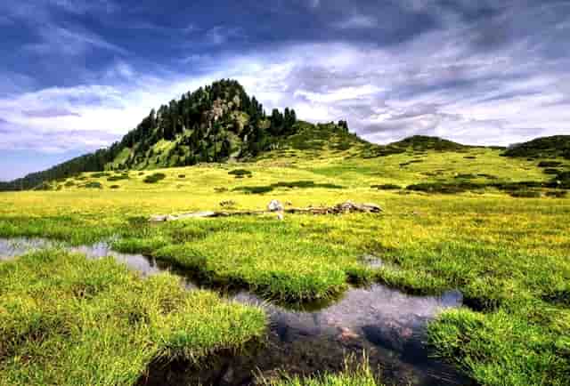 “五头金牛女神”掌舵的多策略“固定收益”新产品银华赵丽将于12月1日发布