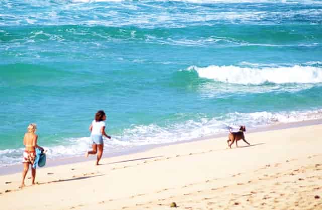 长沙云翼培训学校获喜报，高考小语种助你走进名校大门！