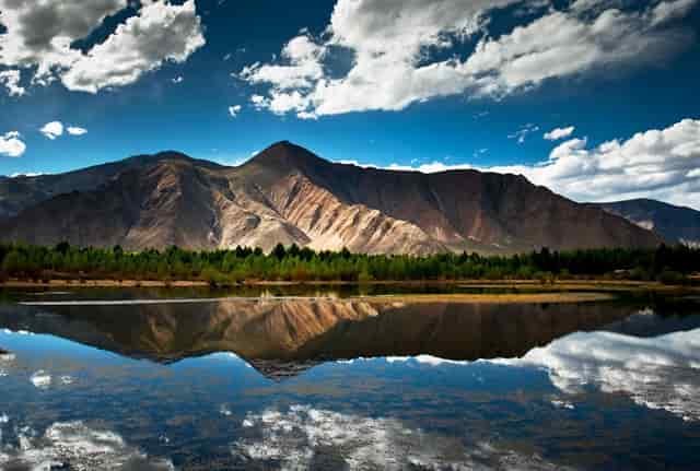 四川信托:聘请建新信托为公司日常经营管理提供服务