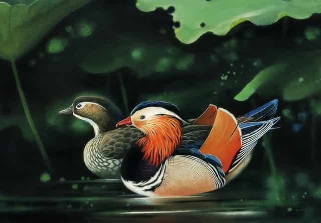 御府普惠于21日正式开通退出渠道 需要50%的人选择实施 这是一个误区