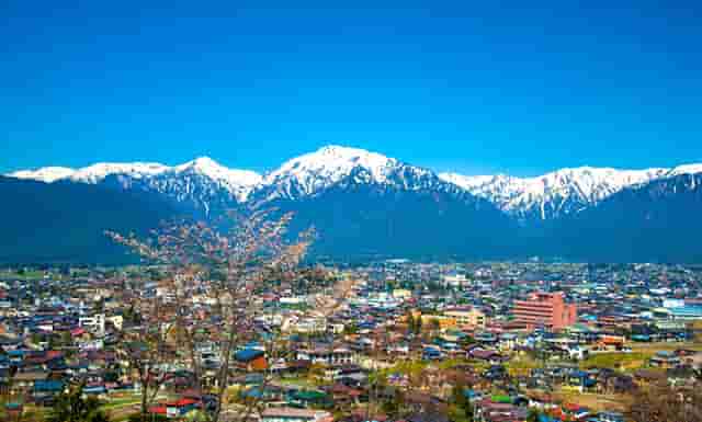 做房地产都做什么(房地产文员主要做什么)