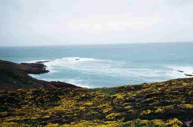 女蓝对决赛(女蓝军运会决赛)