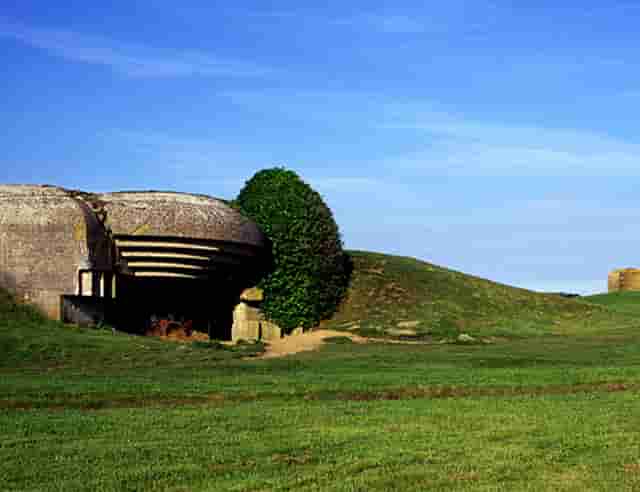 蔡嘉珍獲得註冊理財規劃師專業稱銜，秉持職業操守與執業準則，開啟財務規劃新征程
