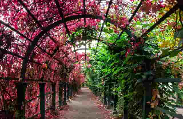 今日a股盘中大涨(今日a股大涨原因)