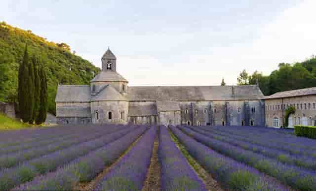 哪些高速入口封闭(广东哪些高速封闭)