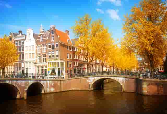 缴纳社保什么时候可以领钱(社保每个月什么时候缴纳)