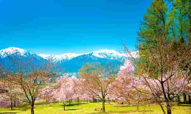 千车万人自驾中国“醉”美草原“99号公路”之旅暨《99号公路》网络微短剧项目启动