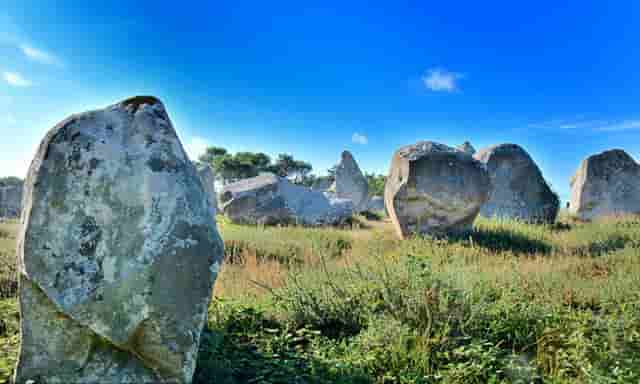 知乎携手京东、品牌商家，共创 11.11 家电家居消费指南