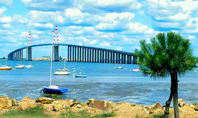 孙颖莎陈梦哪个强(陈梦4-0完胜孙颖莎)