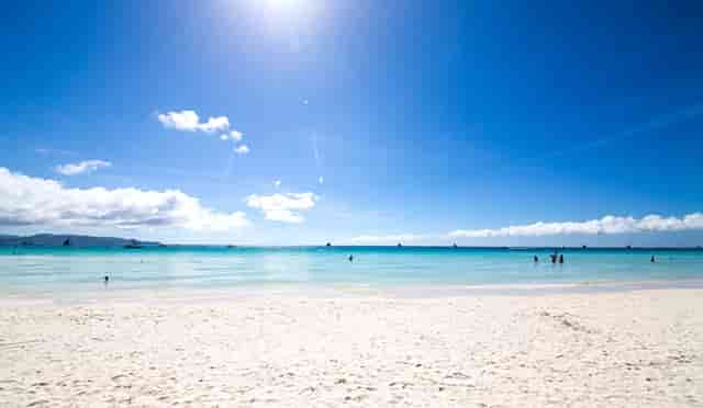 袖虎病猫攻略：猫咪的健康饮食推荐