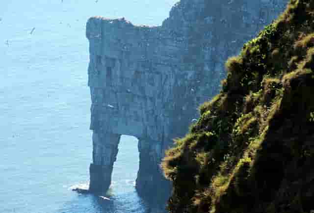 门牙可以洗牙(洗牙门牙裂了)