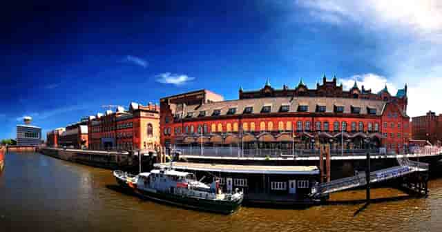 袖虎病猫攻略：猫咪刷牙攻略