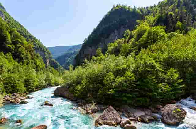 罗翔谈杭州保姆纵火案