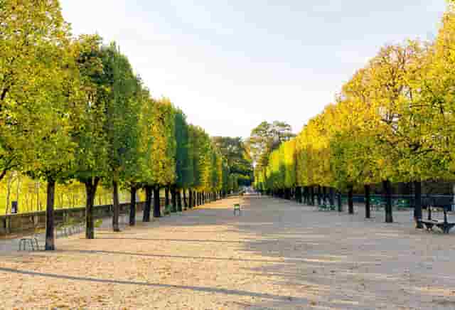 同学会视频简介(同学会王野的视频)