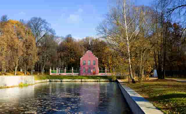 袖虎病狗攻略：关于狗狗断尾那些你不知道的事