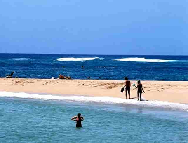 大专学历可以升本科嘛(大专学历升本科途径)