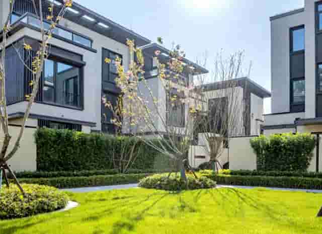 德国嫩芙销售渠道