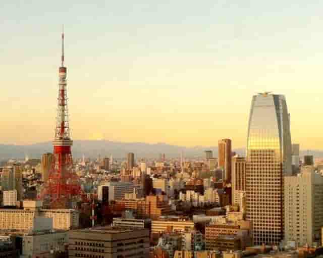 袖虎病狗攻略：狗狗体臭处理的五大方面